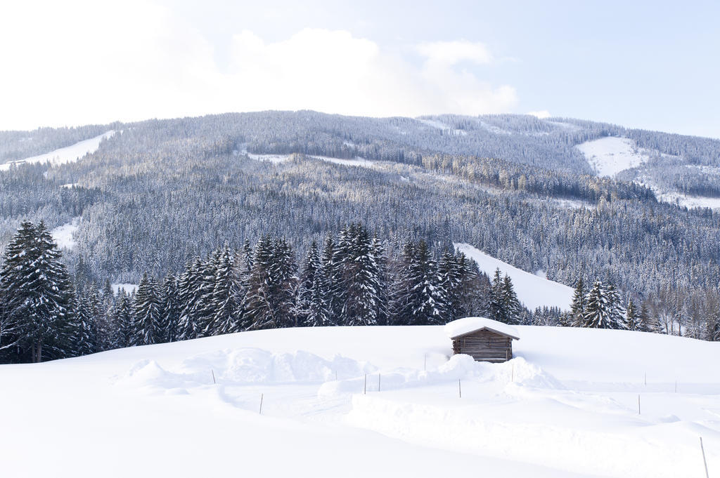 Hotel Alpenkrone Filzmoos Zewnętrze zdjęcie